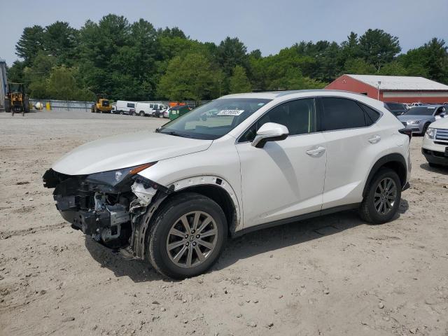 Lexus NX 2019, VIN JTJYARBZ5K2126438, 1/11
