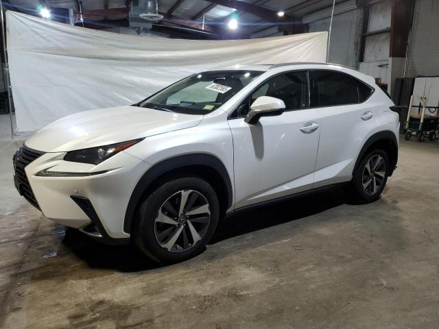 Lexus NX 2019, VIN JTJYARBZ5K2126438, 2/11