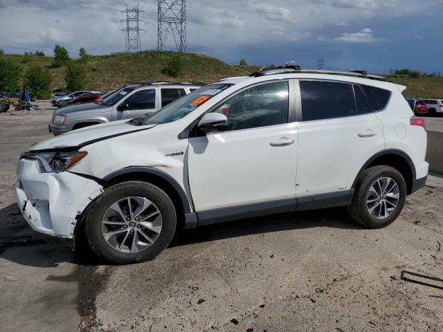 Toyota RAV4 2019, VIN JTMLWRFV1KD007053, 2/5