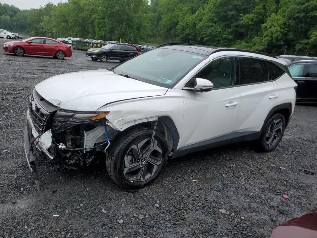 Hyundai Tucson 2021, VIN KM8J2CA45MU386989, 4/5