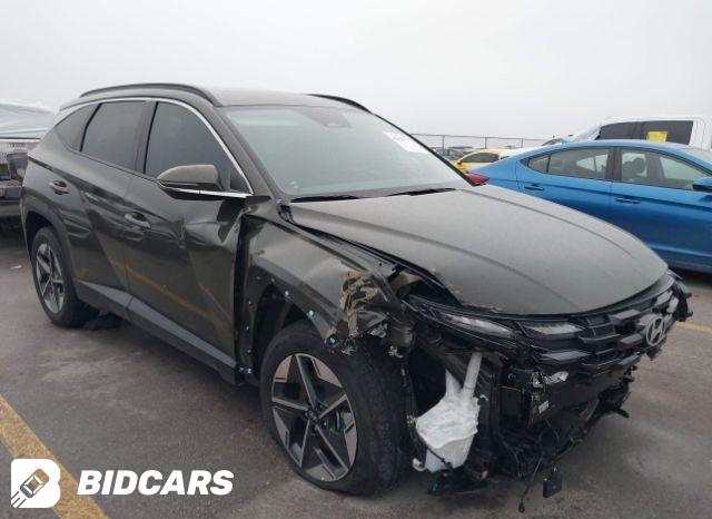 Hyundai Tucson 2024, VIN KM8JECD12RU217819, 1/5