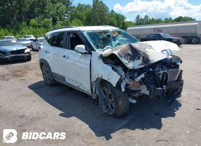 KIA Seltos 2024, VIN KNDERCAA5R7532532, 2/5