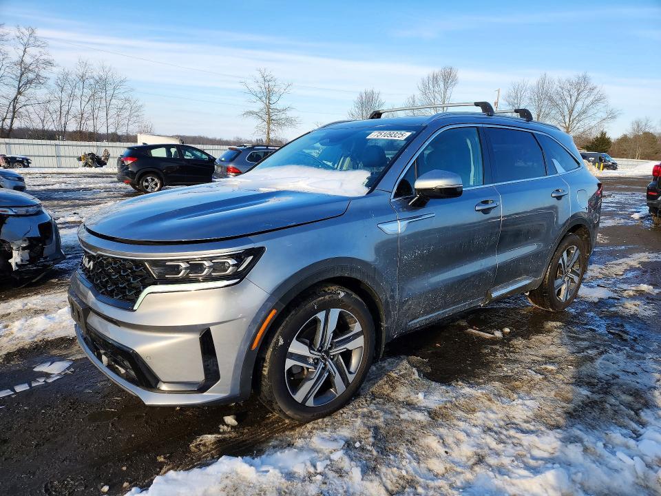KIA Sorento 2023, VIN KNDRMDLG4P5140738, 2/5