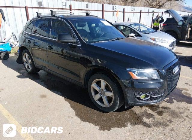 Audi Q5 2010, VIN WA1LKAFP4AA086940, 13/21