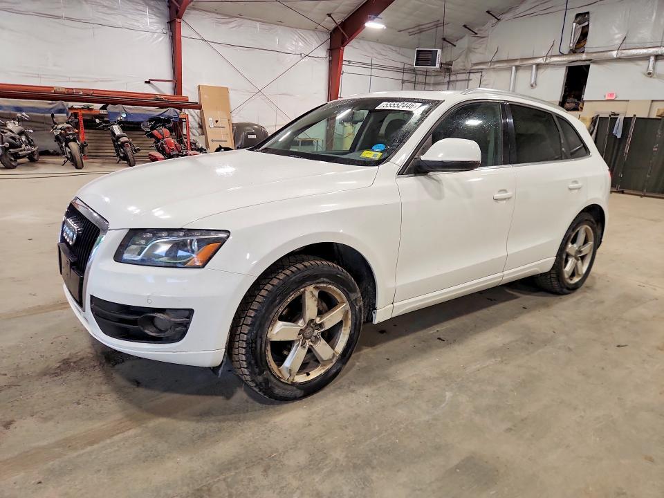 Audi Q5 2010, VIN WA1LKAFP4AA086940, 18/21