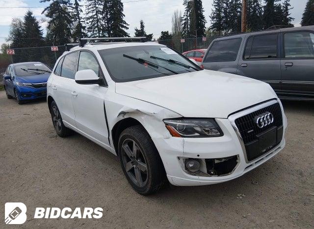 Audi Q5 2010, VIN WA1LKAFP4AA086940, 19/21
