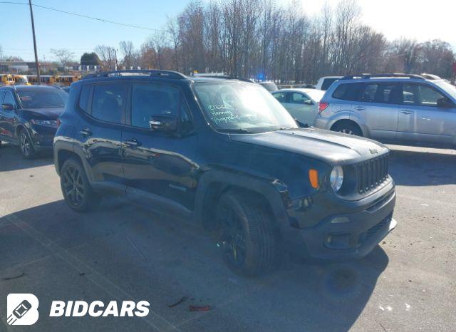 Jeep Renegade 2019, VIN ZACNJABB6KPK31034, 6/11