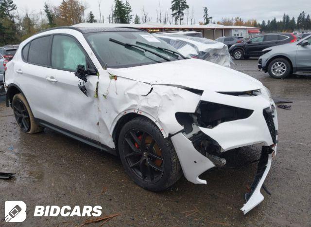 Alfa Romeo Stelvio 2020, VIN ZASPAKAN1L7C98014, 3/5
