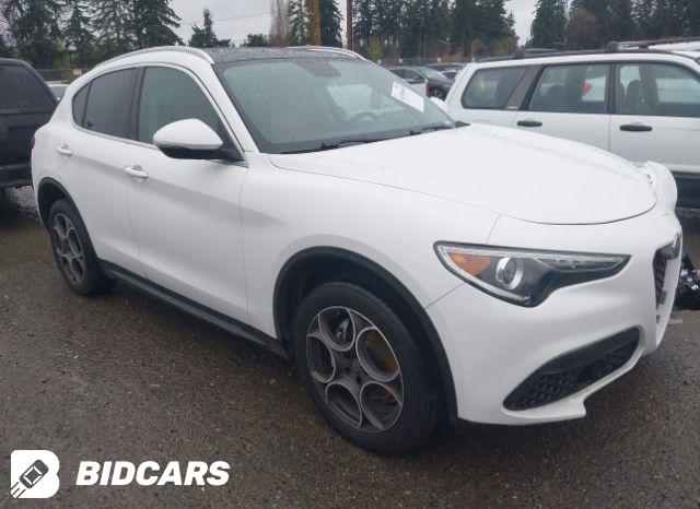 Alfa Romeo Stelvio 2020, VIN ZASPAKBN0L7C94356, 5/5